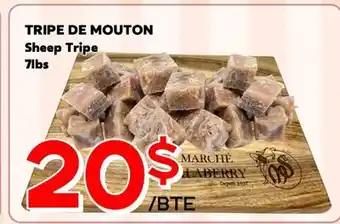 Marche Salaberry TRIPE DE MOUTON offer