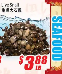 WinCo Food Mart Live Snail offer