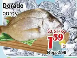 Marche C&T Dorade offer