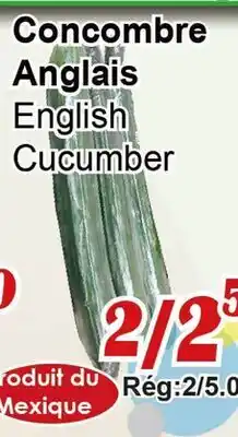 Marche C&T English Cucumber offer