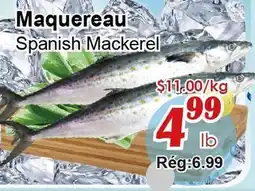 Marche C&T Maquereau offer