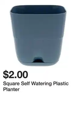 Dollarama Square Self Watering Plastic Planter offer