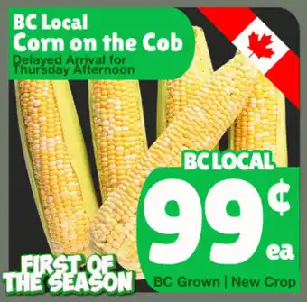 BC Local Corn on the Cob