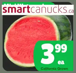 The Old Farm Market Watermelon offer