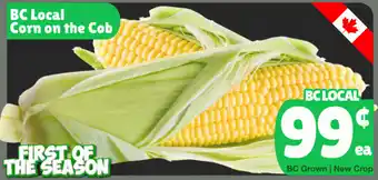 BC Local Corn on the Cob