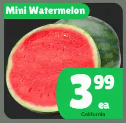 The Old Farm Market Mini Watermelon offer