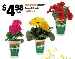 Home Depot Vigoro annual quarts offer