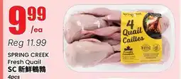 Btrust Supermarket SPRING CREEK Fresh Quail offer