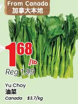 Btrust Supermarket Yu Choy offer