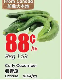 Btrust Supermarket Curly Cucumber offer