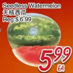 Foody Mart Seedless Watermelon offer