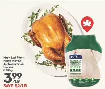 Longo's Maple Leaf Prime Raised Without Antibiotics Whole Chicken offer