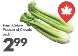 Longo's Fresh Celery offer