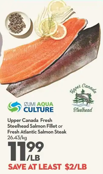 Longo's Upper Canada Fresh Steelhead Salmon Fillet or Fresh Atlantic Salmon Steak offer