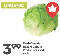Longo's Fresh Organic Iceberg Lettuce offer