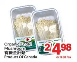 T&T Supermarket ORGANIC ENOKI MUSHROOM offer