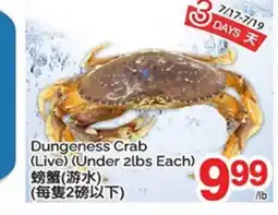 T&T Supermarket DUNGENESS CRAB offer