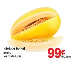 T&T Supermarket MELON HAMI offer