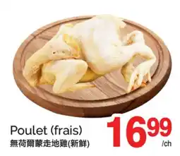 T&T Supermarket POULET (FRAIS) offer