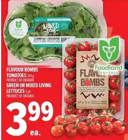 Metro Flavour bombs tomatoes offer