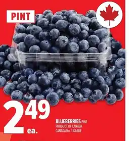 Metro Blueberries offer