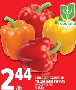 Metro Large red, orange or yellow sweet peppers product of ontario offer