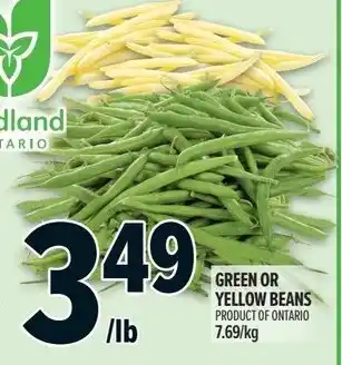 Metro Green or yellow beans offer