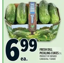 Metro Fresh dill pickling cukes offer