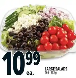 Metro Large salads offer