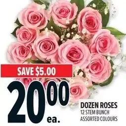 Metro Dozen roses offer