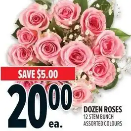 Metro Dozen roses offer