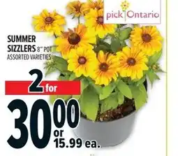 Metro Summer sizzlers offer