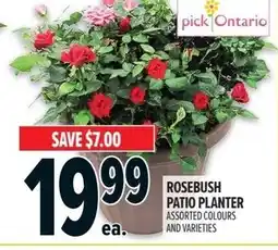 Metro Rosebush patio planter offer