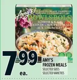 Metro Amy's frozen meals offer