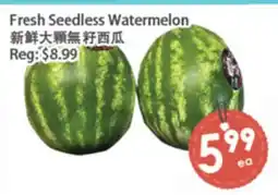 Fresh Palace Supermarket Fresh Seedless Watermelon offer