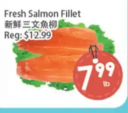 Fresh Palace Supermarket Fresh Salmon Fillet offer