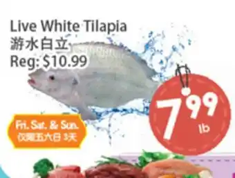 Fresh Palace Supermarket Live White Tilapia offer