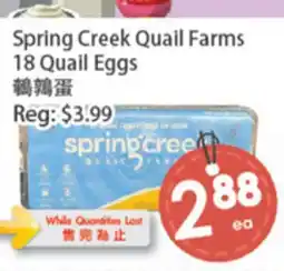 Fresh Palace Supermarket Spring Creek Quail Farms 18 Quail Eggs offer