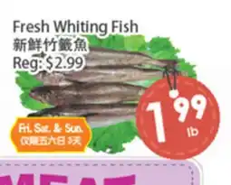Fresh Palace Supermarket Fresh Whiting Fish offer
