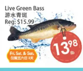 Fresh Palace Supermarket Live Green Bass offer