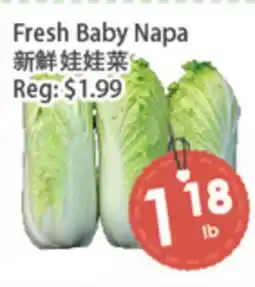 Fresh Palace Supermarket Fresh Baby Napa offer