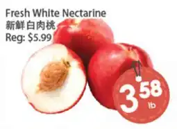 Fresh Palace Supermarket Fresh White Nectarine offer