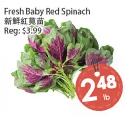 Fresh Palace Supermarket Fresh Baby Red Spinach offer