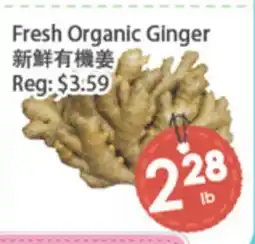 Fresh Palace Supermarket Fresh Organic Ginger offer