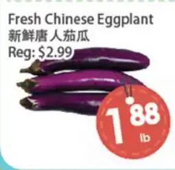 Fresh Palace Supermarket Fresh Chinese Eggplant offer