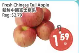 Fresh Palace Supermarket Fresh Chinese Fuji Apple offer