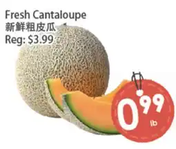 Fresh Palace Supermarket Fresh Cantaloupe offer