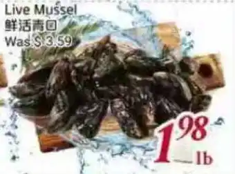 Tone Tai Supermarket Live Mussel offer