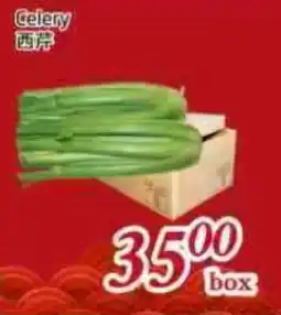 Tone Tai Supermarket Celery offer