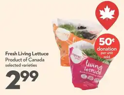 Longo's Fresh Living Lettuce offer